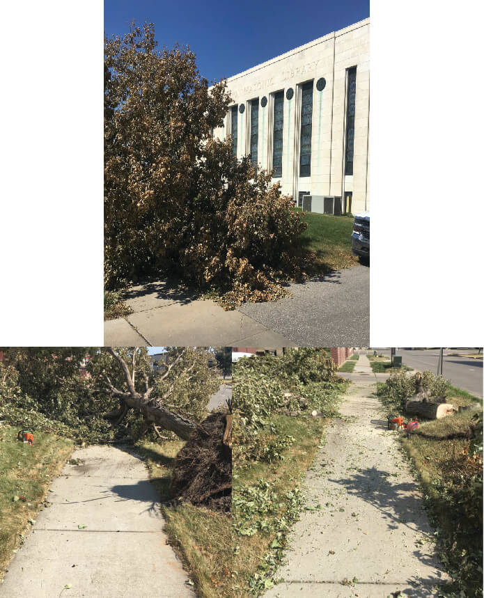 Tree damage at the Grand Lodge of Iowa