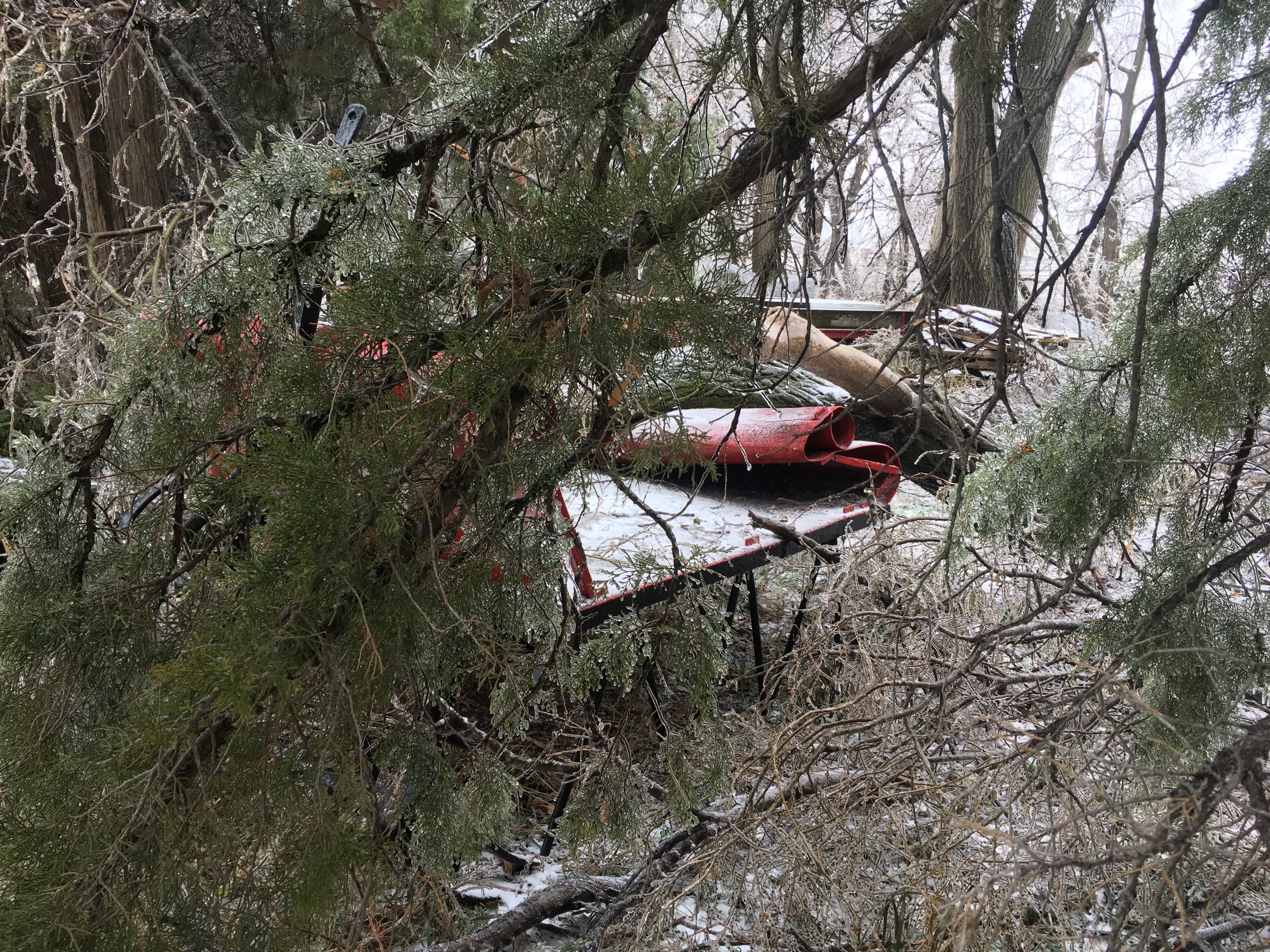 sled smashed by tree in ice storm