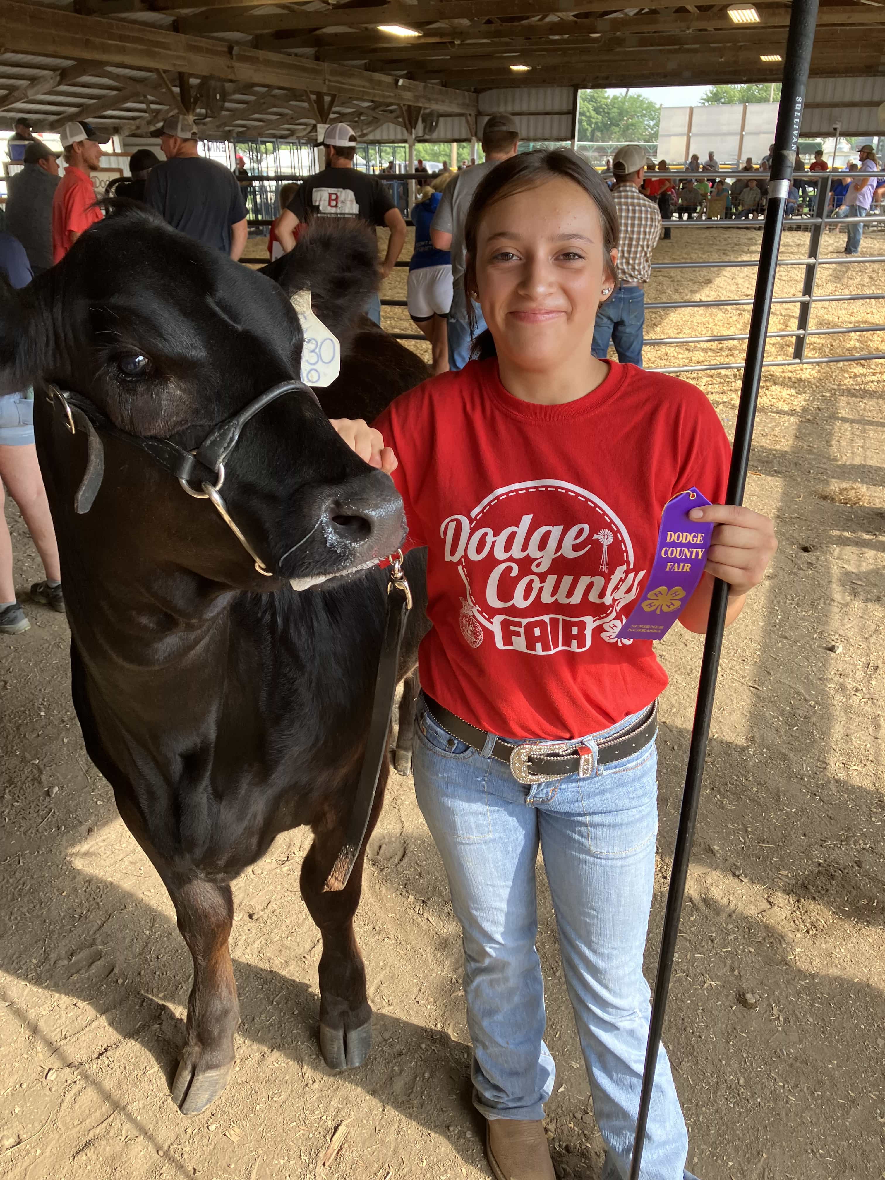 Platte County Fair 2024 The Ultimate Celebration of Fun and Thrills